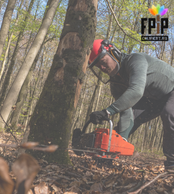 OPERATOR LA RECOLTAREA ŞI TOALETAREA ARBORILOR FORESTIERI
